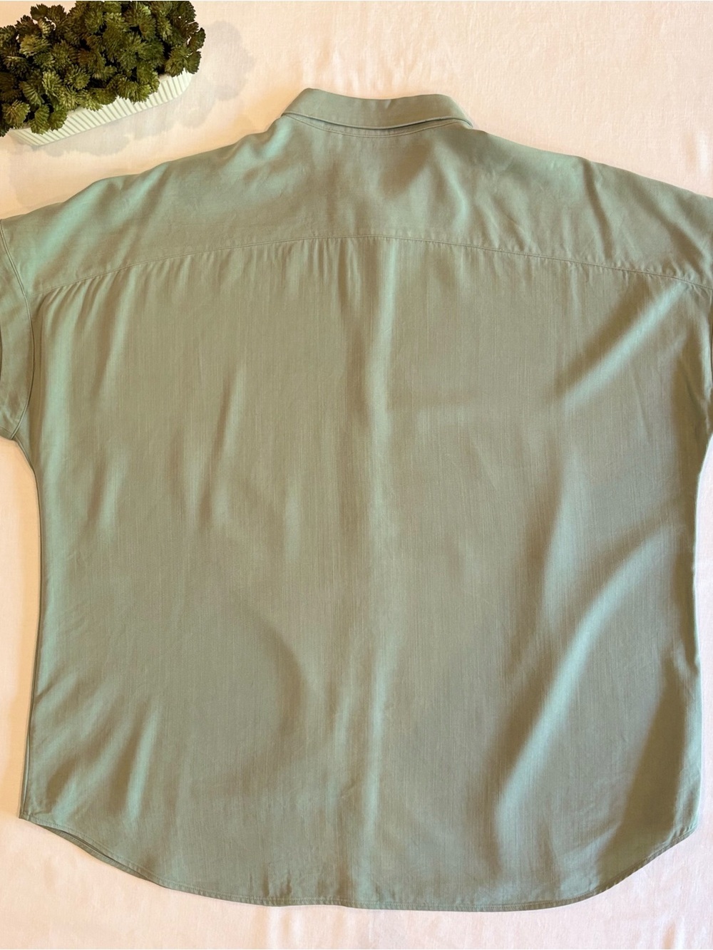 Soft Surroundings Je Veux TENCEL Light Sage Button-Up Shirt - Picture 2 of 7